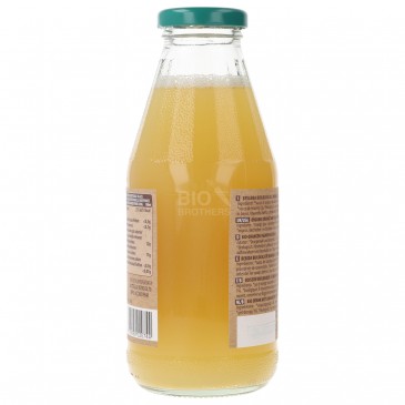 SUCCO ARANCIA ZENZERO 500ML