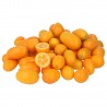 Kumquat Biologico Demeter detto Mandarino Cinese