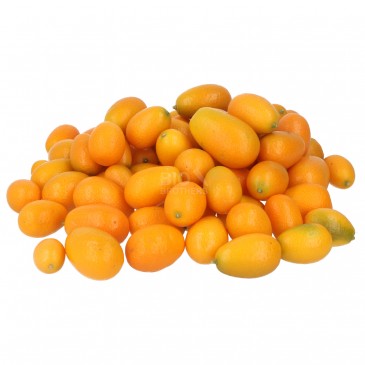 KUMQUAT (DEMETER) ORIGINE ITALIA