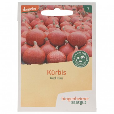 ZUCCA RED KURI SEMENTI DEMETER 10SEMI