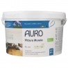 N.321 PITTURA MURALE SECCHIO GRANDE 10LITRI AURO