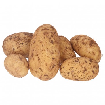 PATATE NOVELLE (BIO)