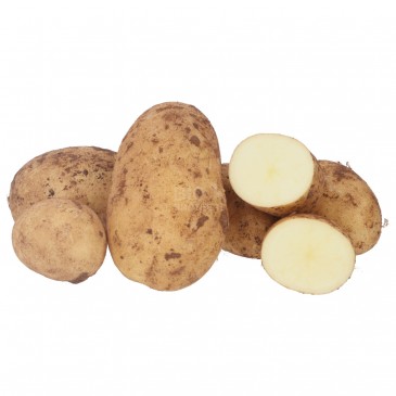 PATATE NOVELLE (BIO)