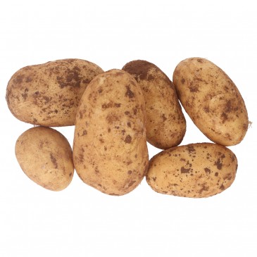 PATATE NOVELLE (BIO)