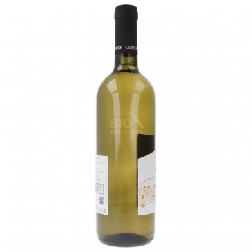 Gewürztraminer D.O.C. vino bianco biologico