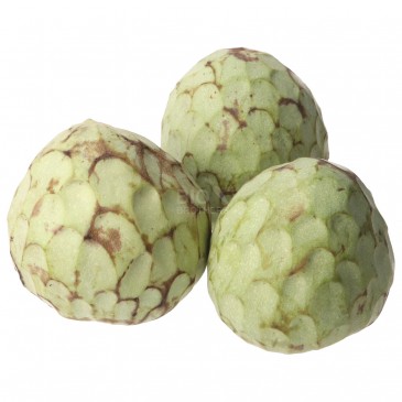 CHERIMOLIA (BIO) ESP.