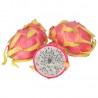 Pitaya-Dragonfruit biologico