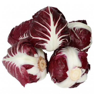 Radicchio rosso a cuore biologico