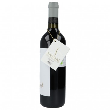 CABERNET VENETO IGT ANIMAE 750ML