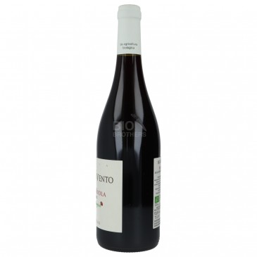 NERO D'AVOLA 750ML MOLINOAVENTO