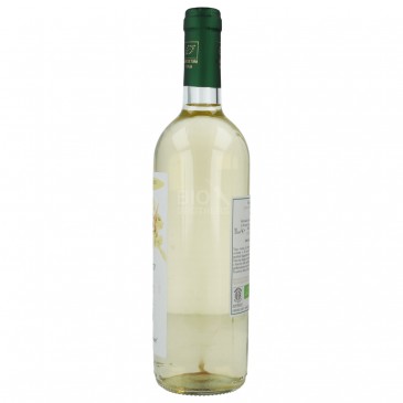 VERDUZZO VENETO IGT 750ML CARLINE 