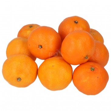 CLEMENTINE (BIO)