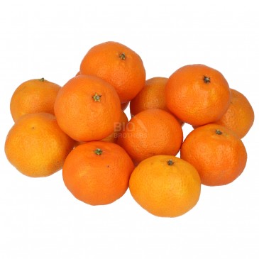 CLEMENTINE (BIO)