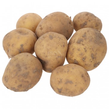 WIVA PATATE GIALLE (BIO)